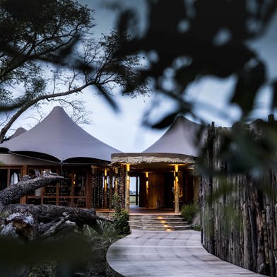 Wilderness Mombo Botswana Place of Plenty