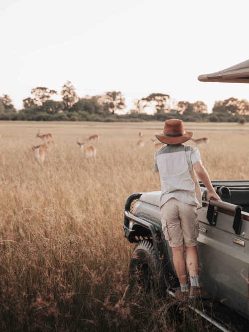 Wilderness Journey Family Safaris Game Drive