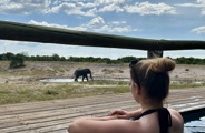 Kirsty in the pool with a view of an elephant at Savuti safari lodge
