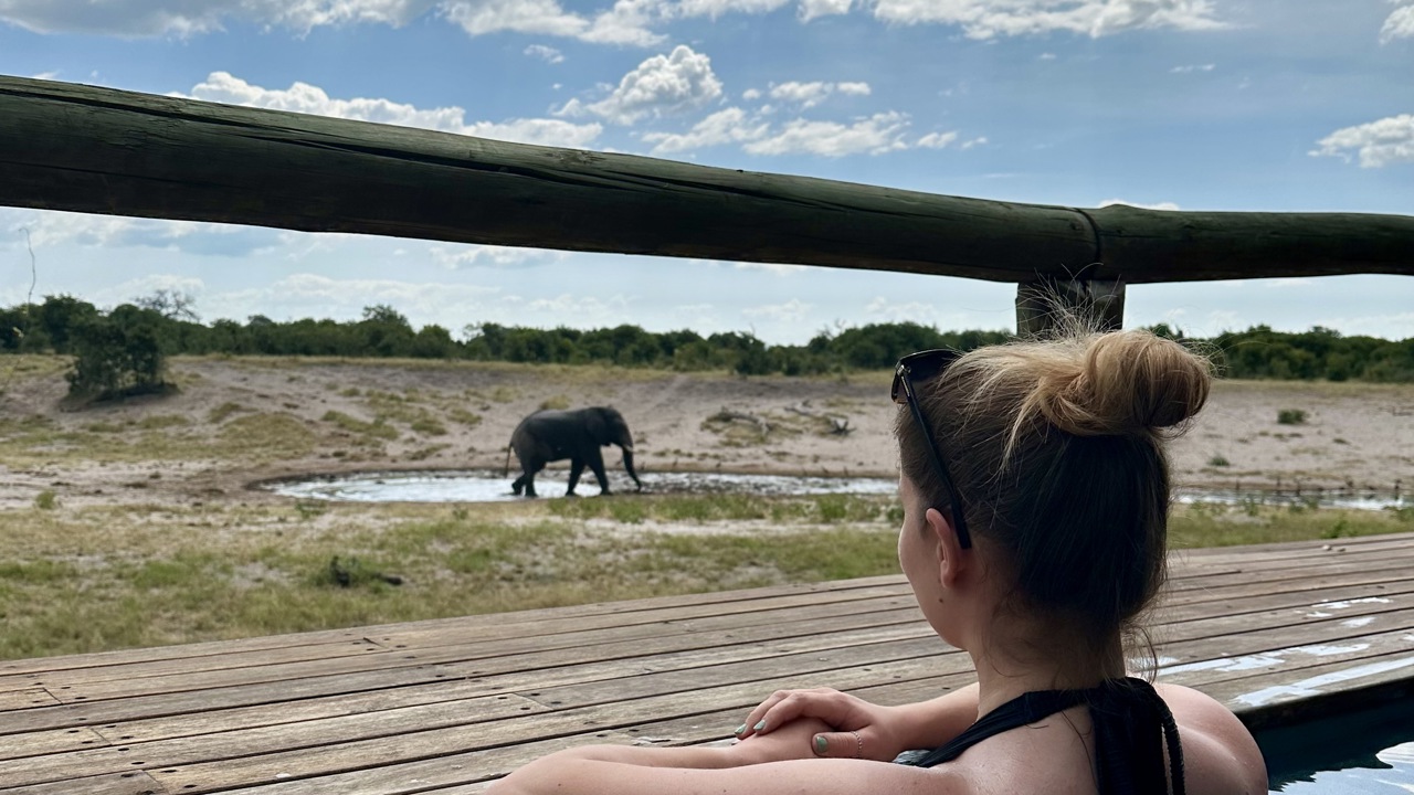 Kirsty in the pool with a view of an elephant at Savuti safari lodge