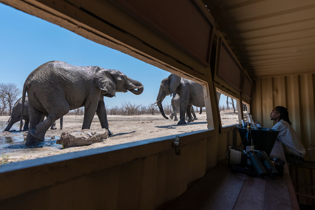 Watching elephants from the underground hide at Kings Pool