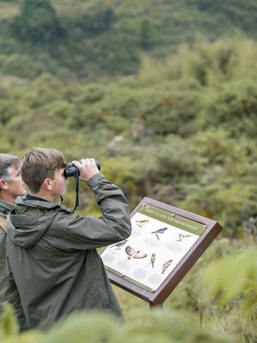 Wilderness Experiences Birding Rwanda Bisate