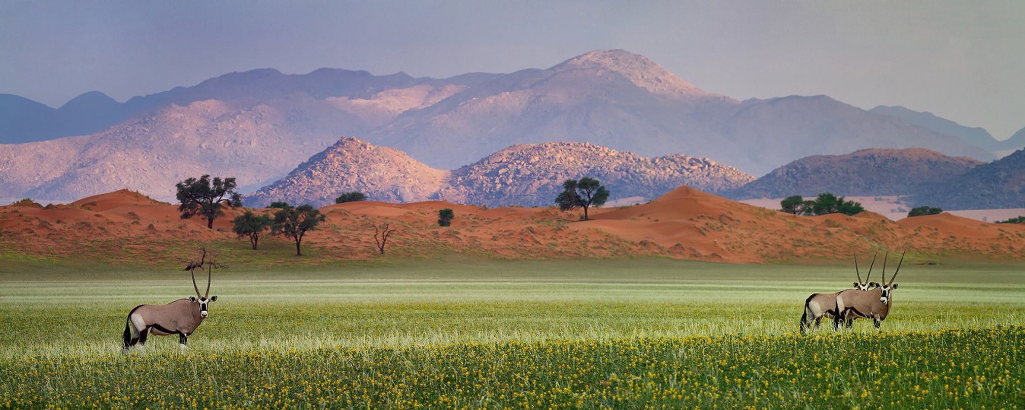 African wilderness landscape showcasing safari destinations