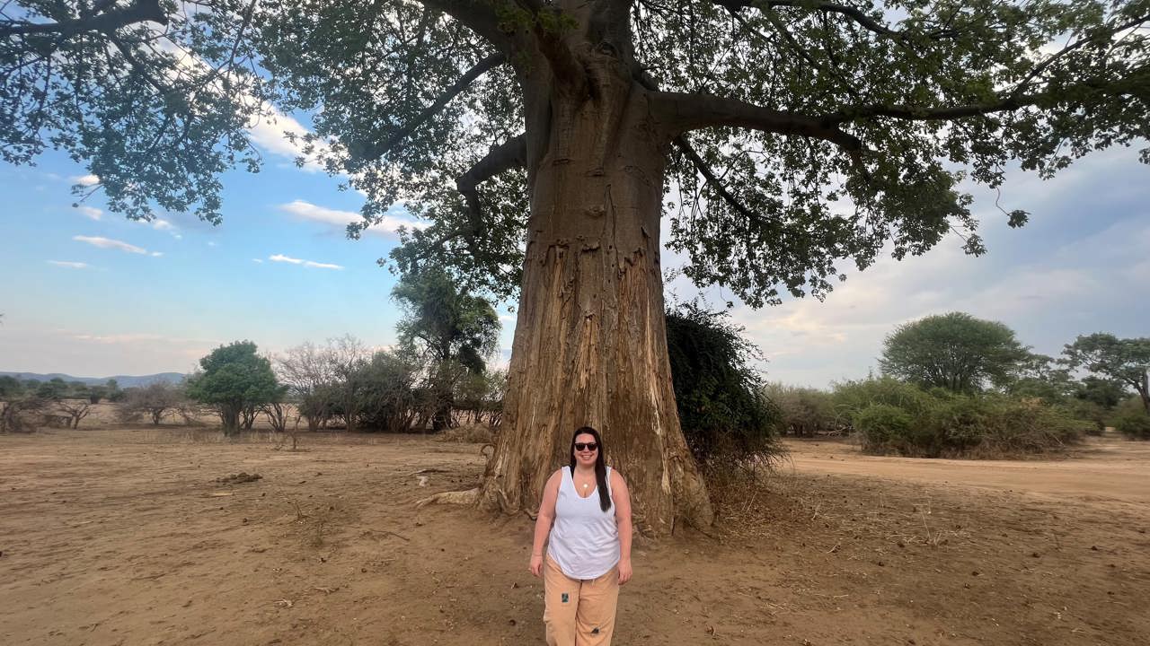 Woman posing in front of a baobab tree in lower Zambezi