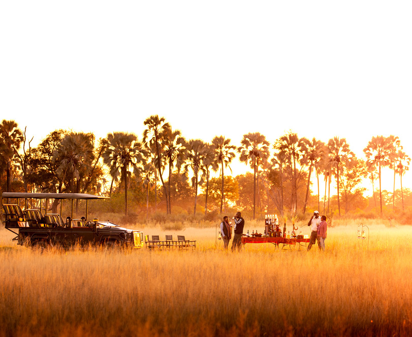 121 Chitabe Sundowners T Cunniffe