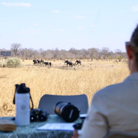 A women sits in the shade, looking towards a waterhole in the distance