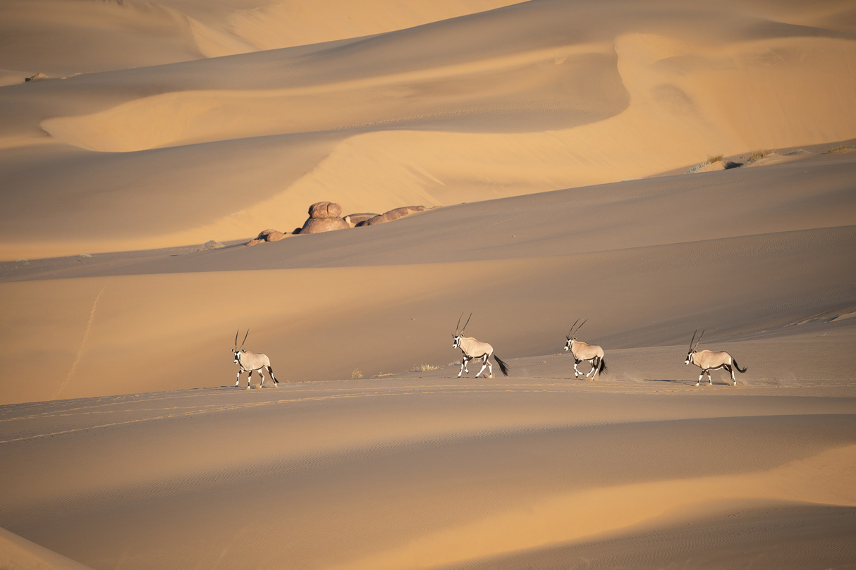 Wilderness Namibia Kunene Landscape