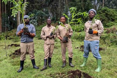 Wilderness Sabyinyo reforestation team planting trees