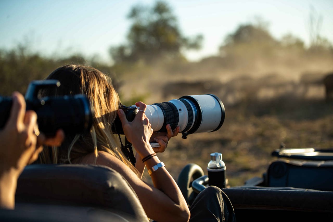 Wilderness Camera Tips Photography On Safari 