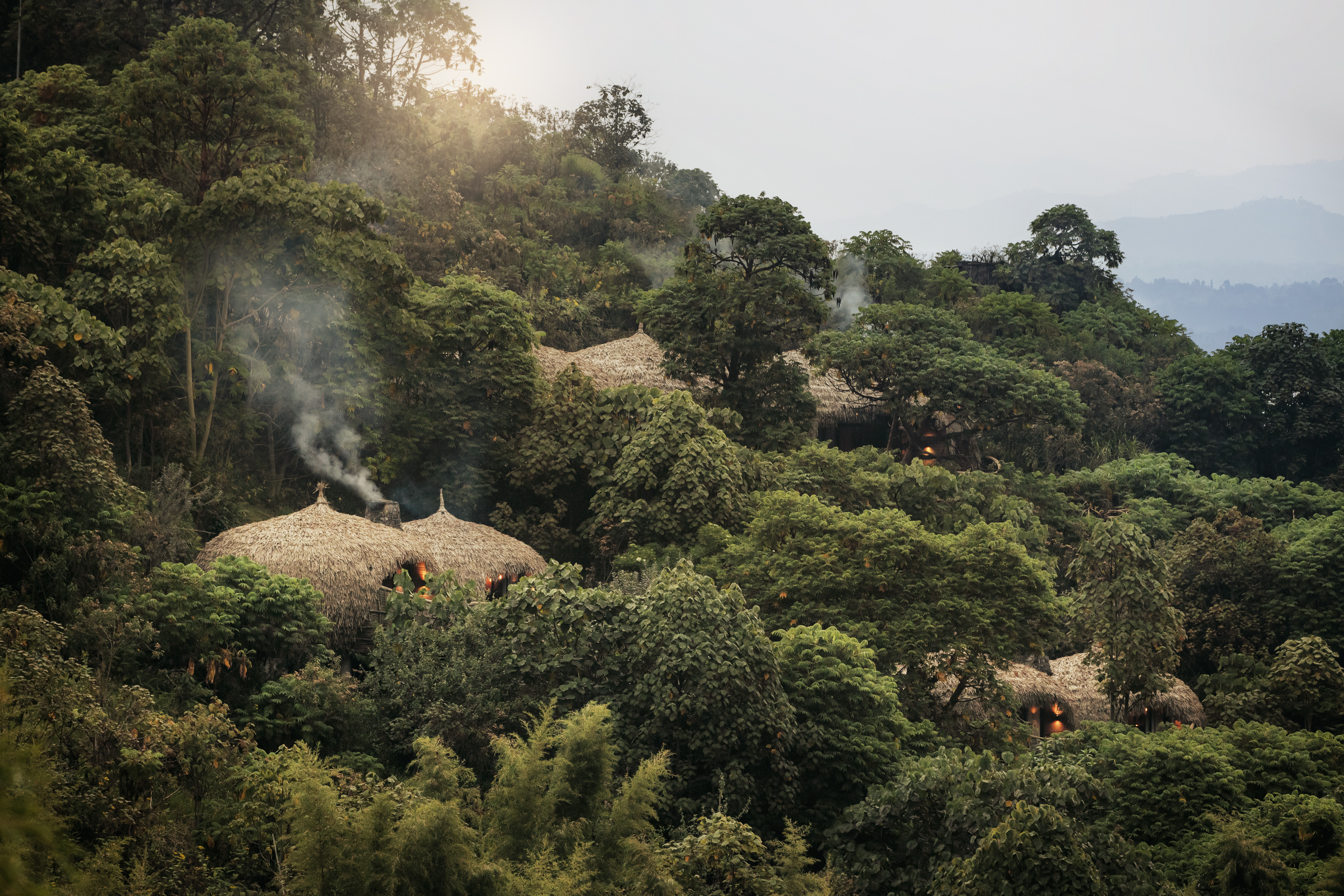 Wilderness Bisate villas hidden among the forest in Rwanda