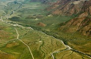 The Namibian desert transformed to green hues after rains in May 2026