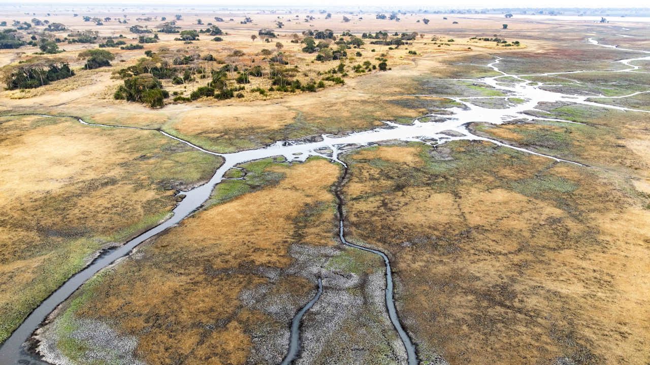 Wilderness Shumba Purpose Impact