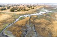Wilderness Shumba Purpose Impact