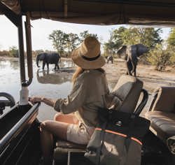 Watching elephants on safari game drive Wilderness Botswana