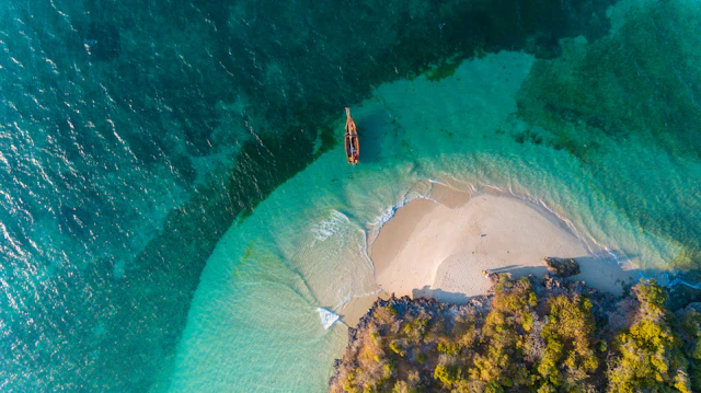 Tanzania: Safari to Coast