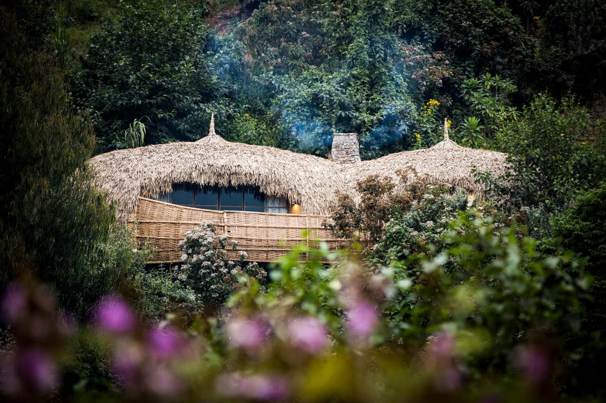 Wilderness Bisate villa surrounded by lush forest in Rwanda