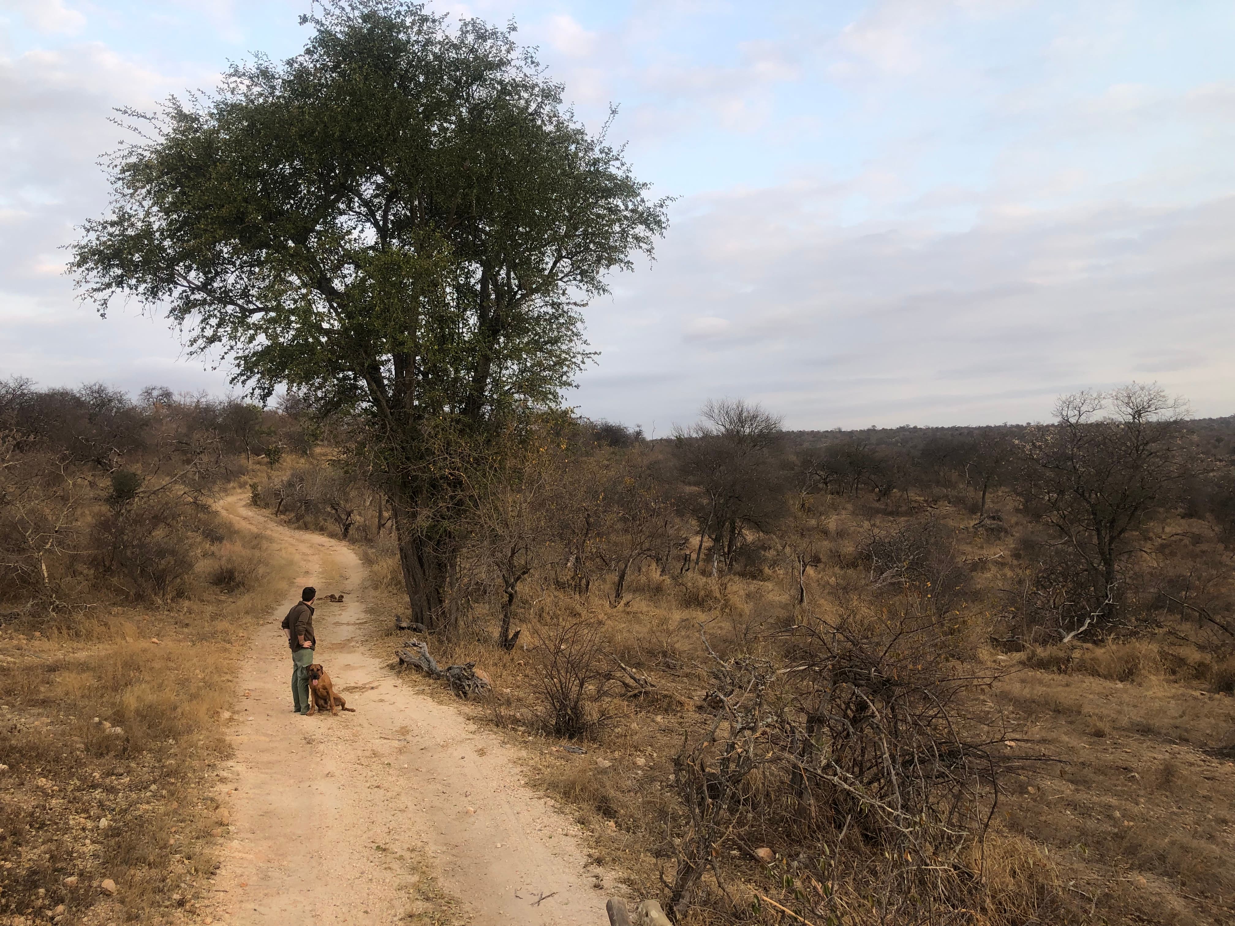 Walking the dog in the greater Kruger South Africa