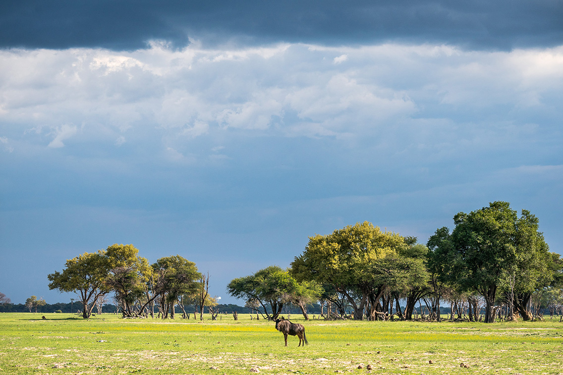 Wilderness Hwange Landscape Grasslands