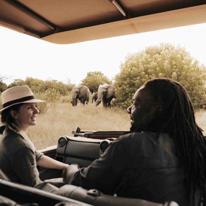 Wilderness Vumbura Plains Botswana Game Drive Elephants