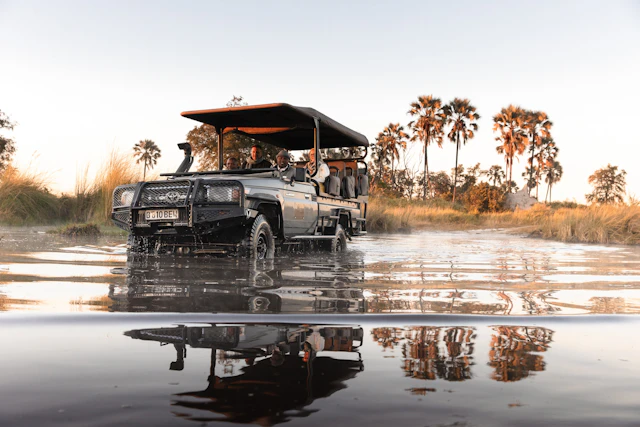 Quintessential Botswana