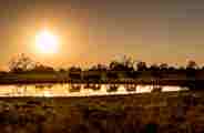 Elephant herd walking near a waterhole in Wilderness Qorokwe