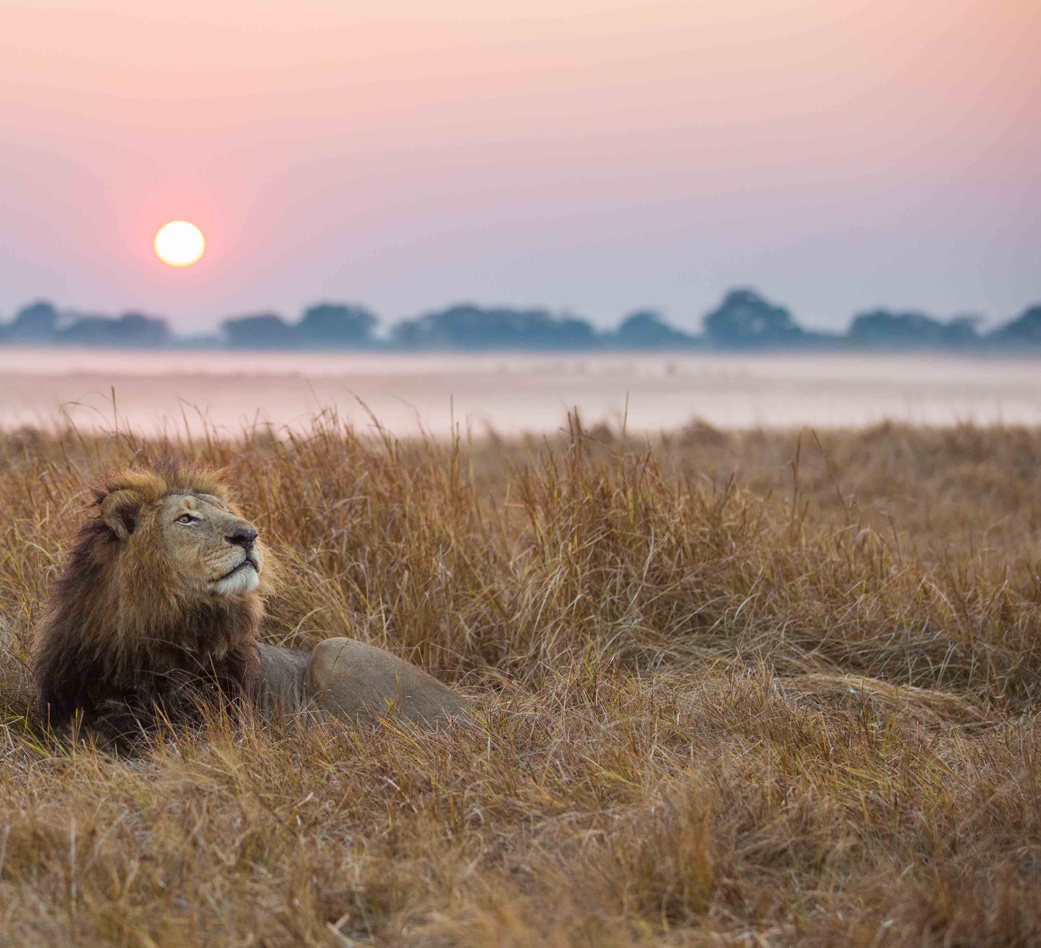 Wilderness Journeys Zambia Exploration