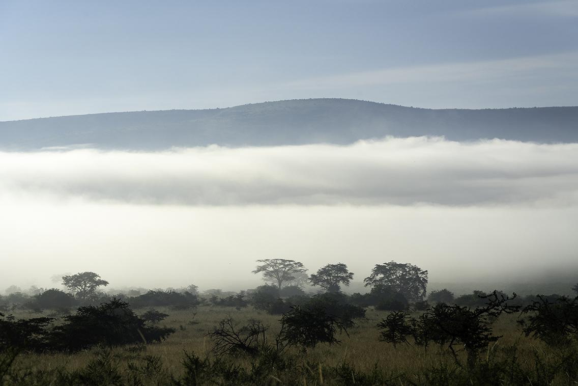Wilderness Rwanda Landscape Wetlands