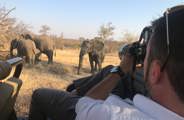 Edward photographing elephants in the Timbavati