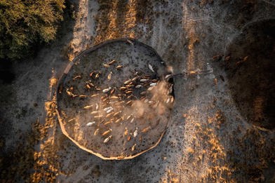 A traditional boma for farmers live stock in Botswana Wilderness Impact on community