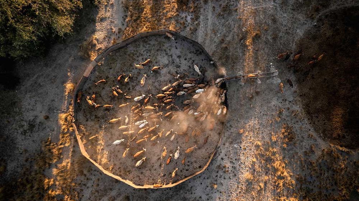 A traditional boma for farmers live stock in Botswana Wilderness Impact on community