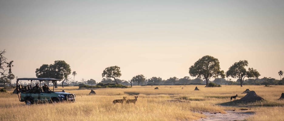 Wilderness Little Makalolo Zimbabwe Hwange