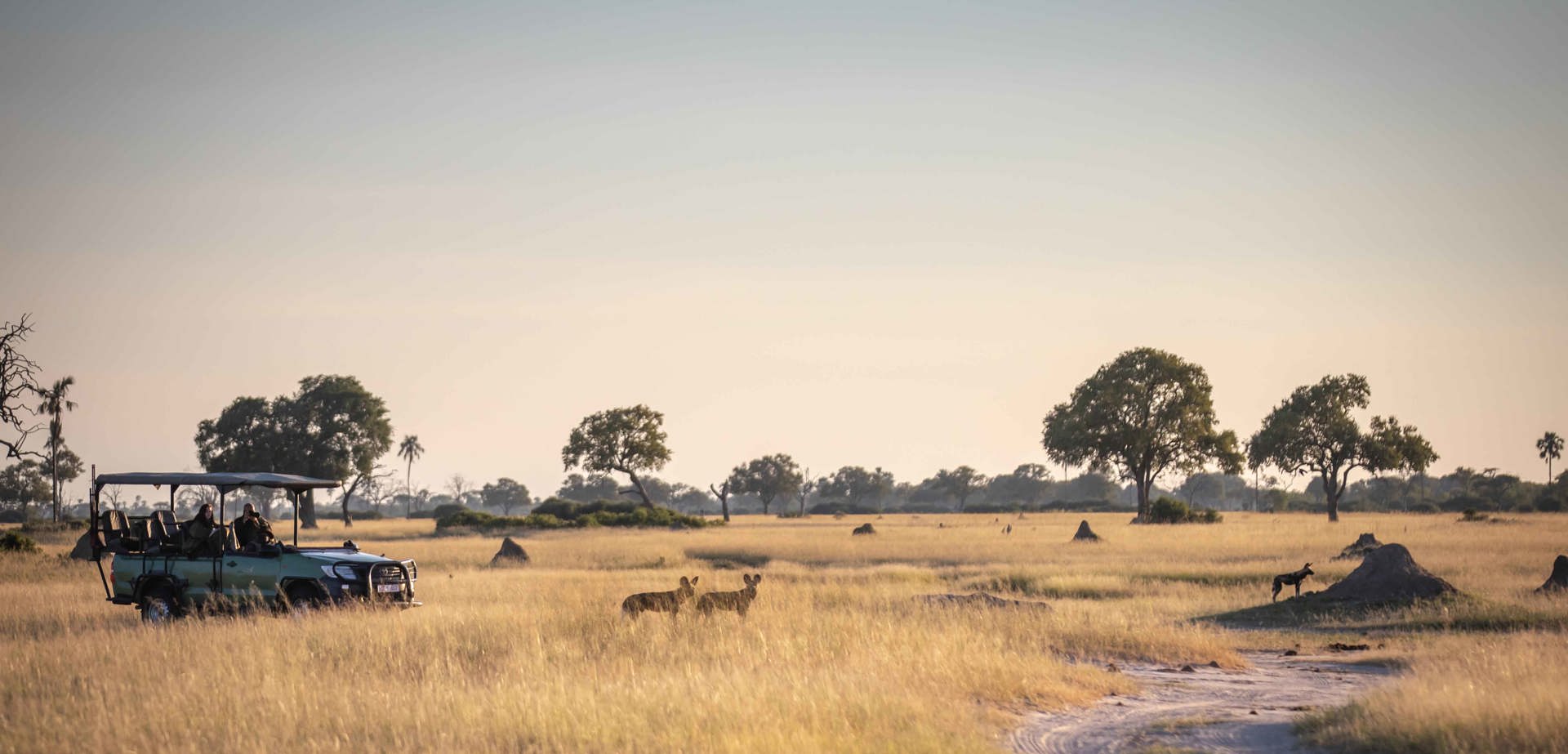 Wilderness Little Makalolo Zimbabwe Hwange
