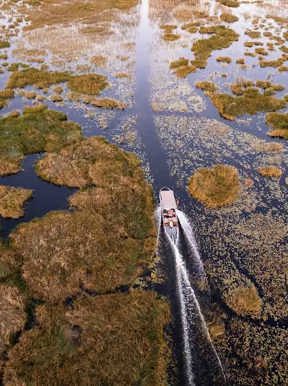 A speed boat cruising along the channels of the Okavango Delat at Wilderness Vumbura