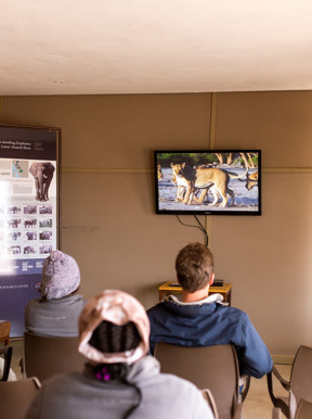 Wilderness Hoanib Skeleton Coast Namibia Activities Research Centre