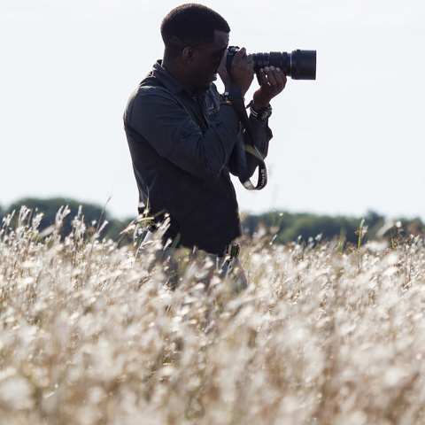 Wilderness Photography On Safari 