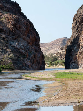 The Namibian desert transformed to green hues after rains in April 2023