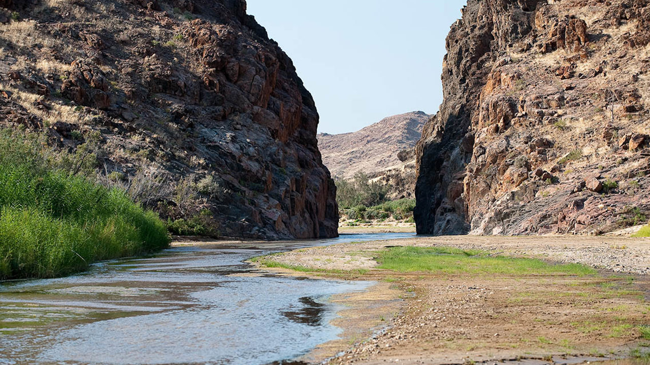 The Namibian desert transformed to green hues after rains in April 2023