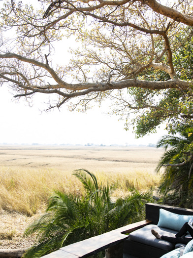 Wilderness Shumba Zambia Hero