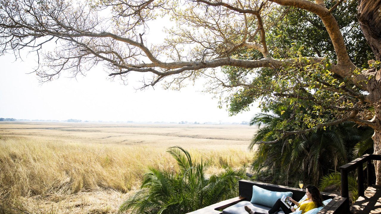 Wilderness Shumba Zambia Hero