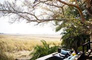 Wilderness Shumba Zambia Hero