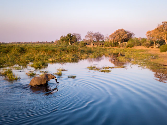 Marshes & Islands of the Okavango