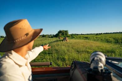 Wilderness Mombo Game Drive In Green Season Lions In Lush Grass