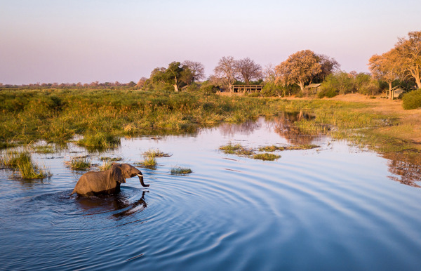 Wilderness Linyanti Tented Camp Botswana Hero