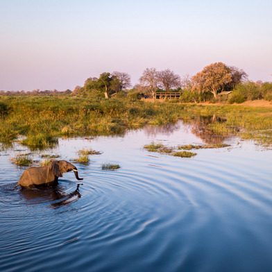 Wilderness Linyanti Tented Camp Botswana Hero