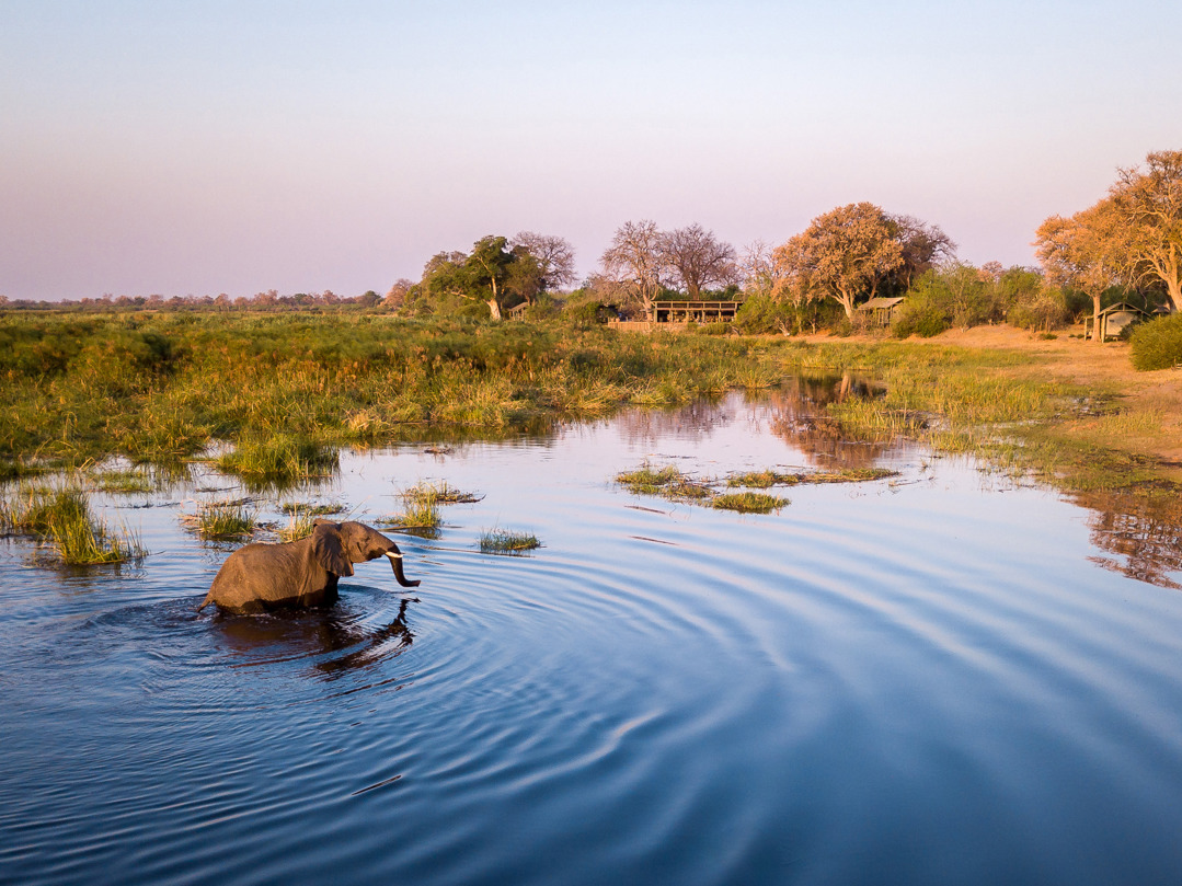Wilderness Linyanti Tented Camp Botswana Hero