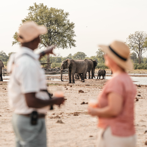 A guide and a guest standing near a waterhole, watching elephants in the background