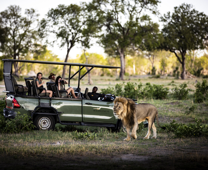Spotting a lion on a game drive at Little Makalolo