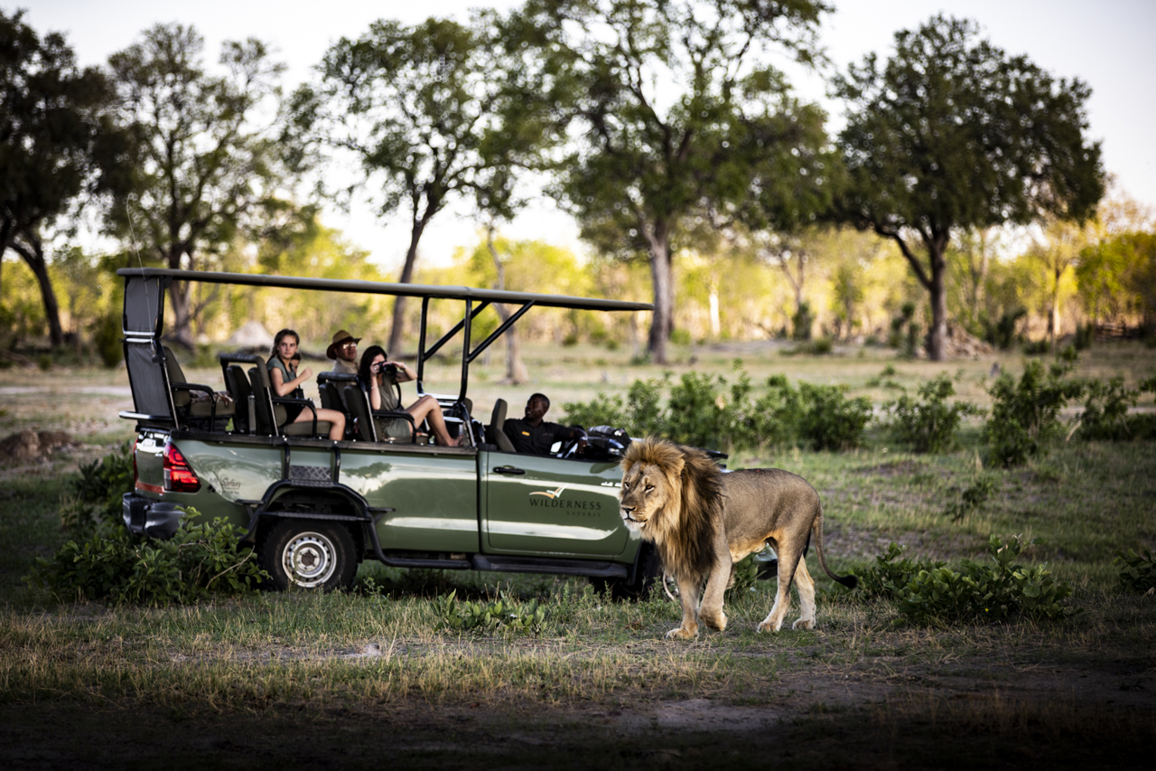 Spotting a lion on a game drive at Little Makalolo