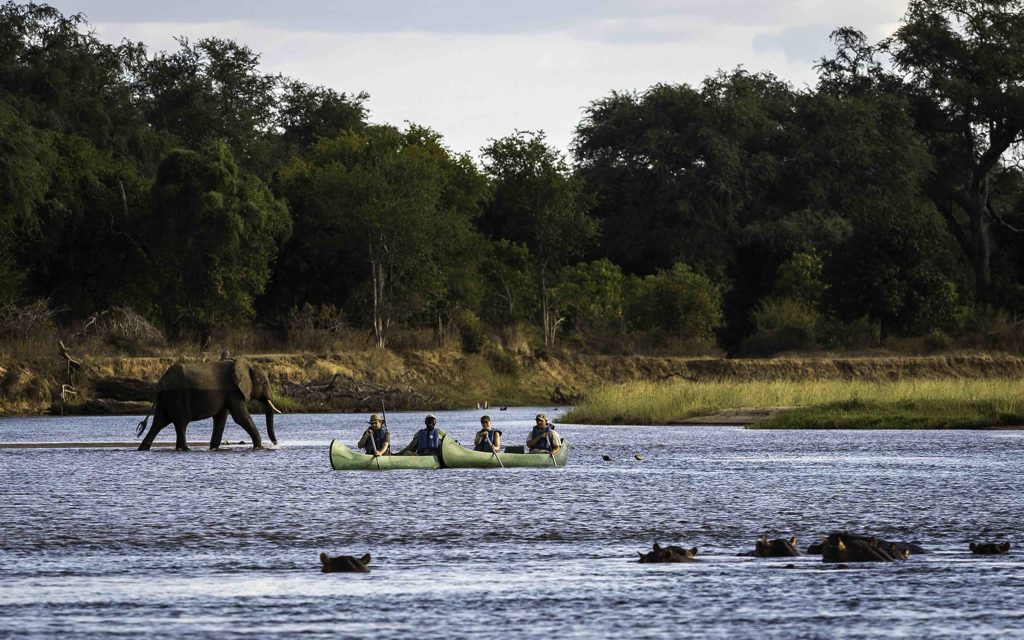 Wilderness Experiences Canoe Zimbabwe Zambezi River