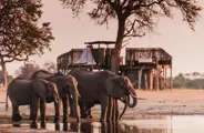 Elephants drinking at Scotts Pan Linkwasha, Linkwasha Camp